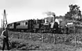 NS 7743 with a tram near Egmond aan de Hoef. (1934)