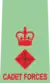 Lieutenant Colonel