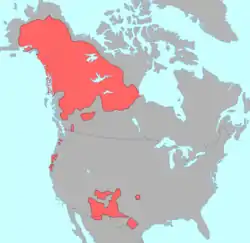 Athabaskan: Apache, Navajo