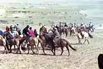 Riders in Mongolia during the Naadam festival