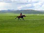 Mongolian steppe