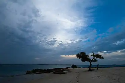 The beach at Nacala