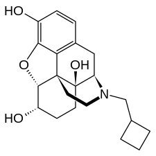 Skeletal formula