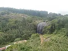 Waterfall and hill from the Kolli Hills region of the Eastern Ghats