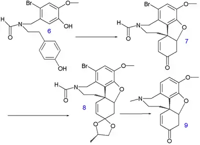 Narwedine synthesis A