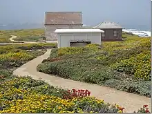 Native plants ablaze with color in early summer.