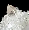 Fluorapophyllite-(Na)