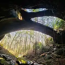 Image 40The Natural Bridge Rock in Winston County is the longest natural bridge east of the Rockies. (from Alabama)