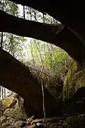 View from under the arch, looking upward.