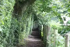 Natural archway