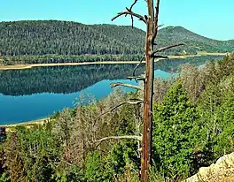 Navajo Lake