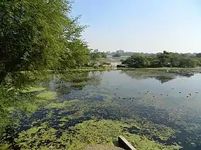 Nawabganj Bird Sanctuary