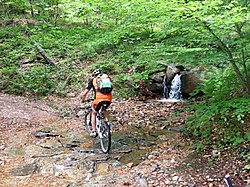 Biker in one of the mountain biking trail within the park