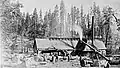 The lumber mill at Nelder Grove around 1881.