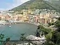 Nervi