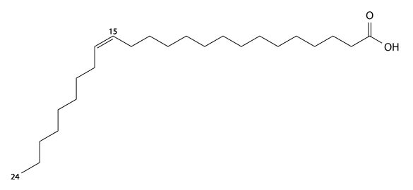 nervonic acid structure