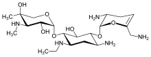 Netilmicin