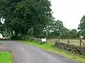 Nettlehirst old estate wall and trees