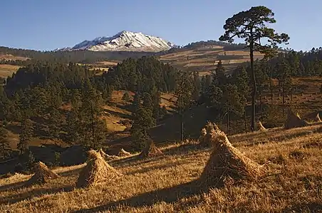 Nevado de Toluca is a stratovolcano in México State.