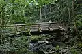 New Bridge on the Falls Trail