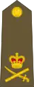 Lieutenant-general(New Zealand Army)