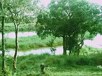 View of the river from Ngwenya Lodge during the wet season