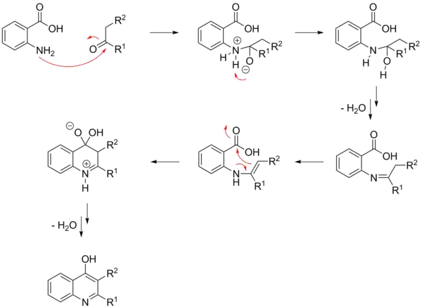 A possible mechanism of the Niementowski quinoline synthesis.