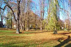 Park in Nietków