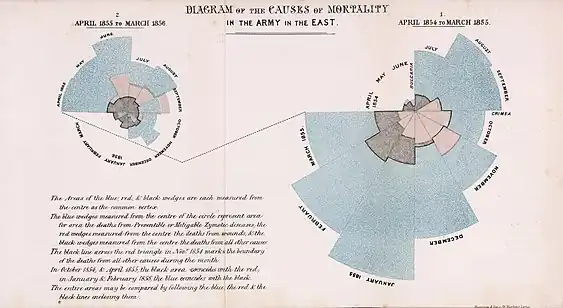 Image 25"Diagram of the causes of mortality in the army in the East" by Florence Nightingale. (from History of medicine)