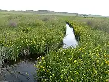 The Niobrara River flowing through Agate Fossil Beds