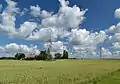 Wheat fields in Kose