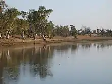 Sandy Billabong, near Yungngora community, with many pairs of eyes watching