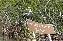 John Pennekamp Coral Reef State Park and Reserve