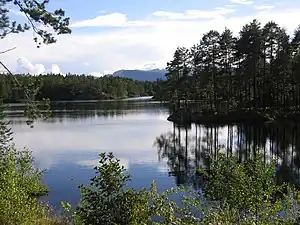 Lake by Norwegian National Road 41, Telemarksveien