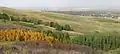 View from Nose Hill Park looking north