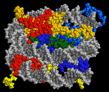 Nucleosome core particle 1EQZ