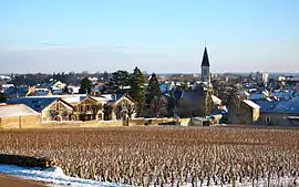 A general view of Nuits-Saint-Georges