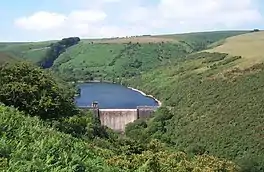 photo of water and trees