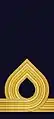 Embroidered shoulder mark (Navy)(?–present)