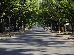 This oak avenue was planted in about 1910 and lends to the streets along which it is situated both dignity and aesthetic character. Type of site: Avenue, Tree. This oak avenue was planted in about 1910 and lends to the streets along which it is situated both dignity and aesthetic character.