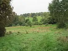 Oak Hill Wood meadow with Oak Hill Park in the distance