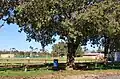 Australian rules football ground