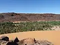 Palm grove between rocks and dunes