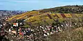 The mild climate and hilly landscape are perfect for viticulture, as the Romans discovered. Pictured are vineyards near Obertürkheim.