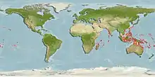 Map of ocellate scorpionfish distribution. More red spots indicate areas where specimens are more common, while yellow spots indicate rarity.