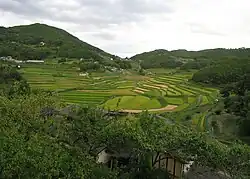 Ohara-nishi rice terraces