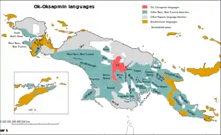 Ok-Oksapmin Languages