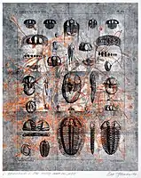 Derealization of Barrandien, structural monotype, 2002