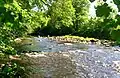 The site of the weirs near Damhead Cottage (now demolished).