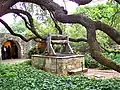 Old well and oak tree in courtyard of the Alamo